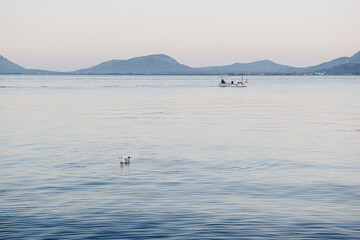 Obraz premium Mediterranean landscapeon the blue hour with a seagull on the forefront and traditional fishboat on the background