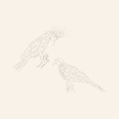 bird hand drawn illustration sketch