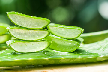 aloe vera