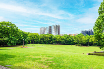 青空と緑の公園
