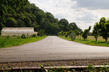 The paved road stretches straight ahead.