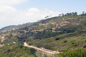 Fototapeta na wymiar Summer landscape. National park of Haifa, Israel. Green trees, hills, empty road and blue sky. Panoramic view of green valley. 