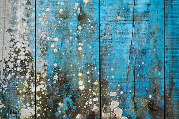 Blue rustic wooden background