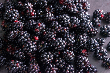 Wild organic shiny freshly picked blackberries from the forest, Black raspberry, Rubus occidentalis, close up on grey background