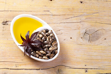 Castor oil, fruits and seeds - Ricinus communis