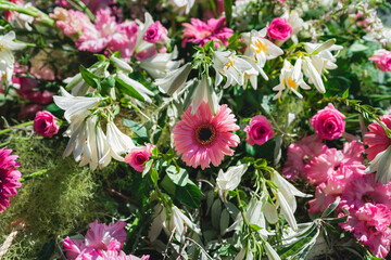 Abstract background of flowers. Various cut flowers, detail. Beautiful floral background