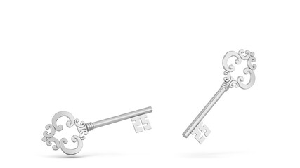 Skeleton key