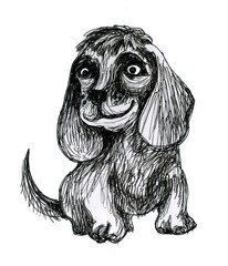 Cocker spaniel puppy smiling. Ink drawing.