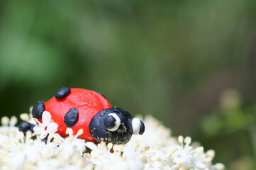 A figure of a ladybug on white blooming wildflowers.