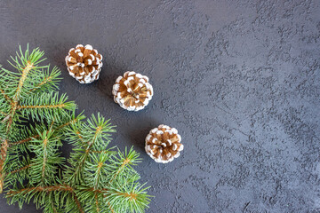 Fototapeta na wymiar Spruce branches with cones on concrete background. Holiday banner, postcard, invitation. The concept of New Year and Christmas. Copyspace