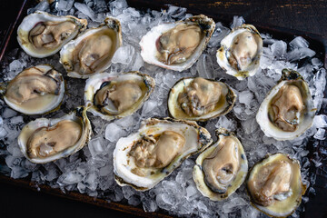 Raw Oysters on the Half Shell on a Bed of Crushed Ice: Shucked Atlantic oysters on a bed of crushed...