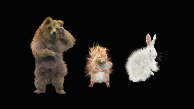 Bear and Squirrel,Rabbit Dancing, CG fur, 3d rendering, animal realistic CGI VFX, composition 3d mapping, cartoon, Included in the end of the clip with Alpha matte.