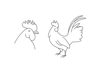 Vector linear illustration farm animal - rooster isolated in white background.