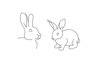 Vector linear illustration farm animal - rabbit isolated in white background.