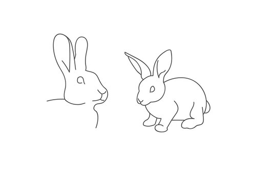 Vector linear illustration farm animal - rabbit isolated in white background.