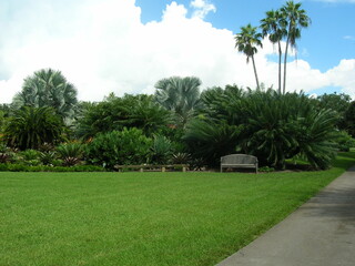 garden lawn
