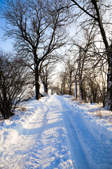 Fototapeta premium traces of the tread of cars