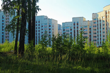 Obraz premium View from the forest to multi-storey, new houses under the illumination of the setting sun. In the foreground is a group of trees and green, succulent plants. The concept of ecological, green housing
