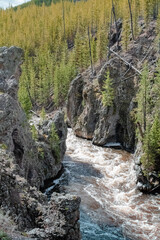 Flowing River through Yellowstone National Park 