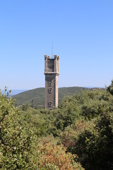 Tour Philippe - Bonnieux - Cèdres - Lavandes
