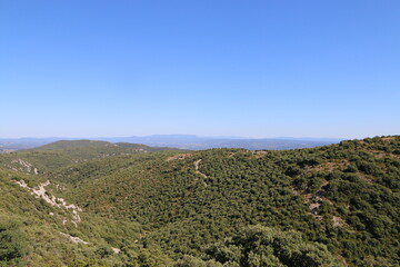 Tour Philippe - Bonnieux - Cèdres - Lavandes