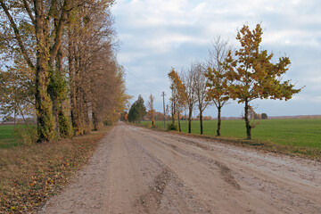 Countryside landscape with a road in autumn