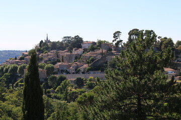 Tour Philippe - Bonnieux - Cèdres - Lavandes