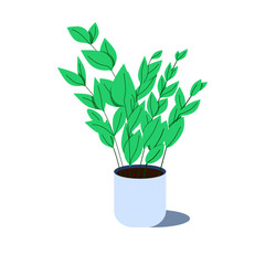 House plant vector. Decorative home plant in pot. Branches with leaves. Zanzibar gem.