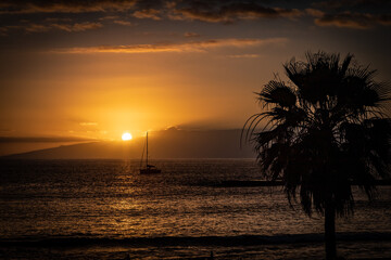 Golden sunset over horizon of Atlantic ocean, with a yacht and palm tree. Los Gigantes, Tenerife, Canary Islands, Spain. 