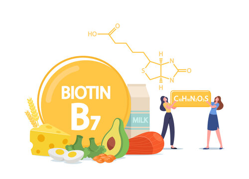 Tiny Characters with Biotin Formula. Women Applying Vitamin B7 for Good Mood, Health and Diet. Pharmaceutical Collagen