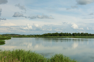 Summer day at a forest lake