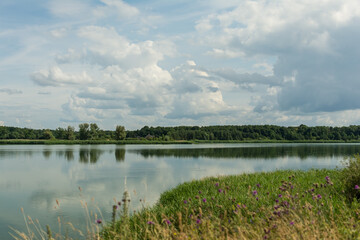 Summer day at a forest lake