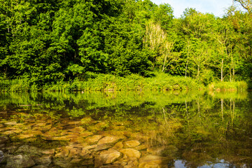 National Forest in England Hoar Cross
