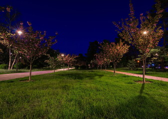The tiled road in the night park with lanterns with Japanese che