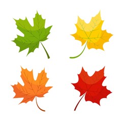 Maple leaf icons in red, yellow, and green colors