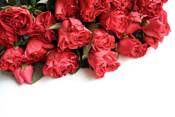 greeting card design. large bouquet of red roses on a white background and blank for text 