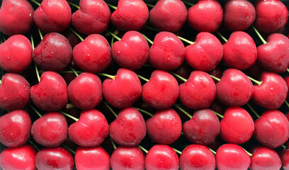 Red ripe cherries, berries lie neatly and beautifully, the purpose of a beautiful display of goods is a profitable sale. The concept of a healthy diet, fresh vitamins. Photophone, flat lay