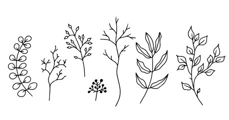 Set of hand-drawn floral elements,doodle plants and branches on a white background. Sketchy elements of design. Vector doodle illustrations.