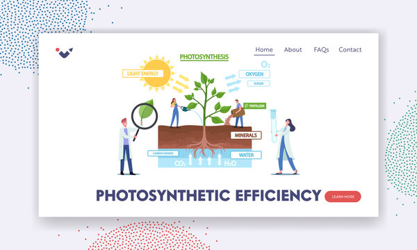 Photosynthesis Efficiency Landing Page Template. Tiny Scientists Characters at Infographics Presenting Changes Sunlight
