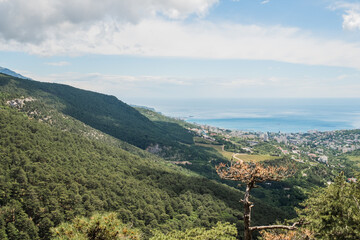 Fototapeta na wymiar Crimeas mountains summer landscape, natural background