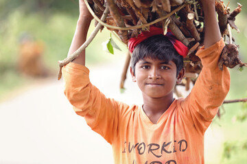 Indian little boy carrying firewood on road