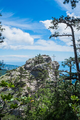Beautiful pine tree against the backdrop of mountains and blue cloudy sky.Beauty of nature. Pure ecology. Crimea mountains.