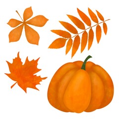 Set of withering maple linden chestnut autumn leaves and pumpkin hand-drawn digital illustration