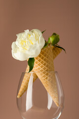 Two waffle cones for ice cream with white peony flowers in a glass glass on a pink background. Festive creative concept for birthday, mothers day, valentines day. Vertical position. Copy space
