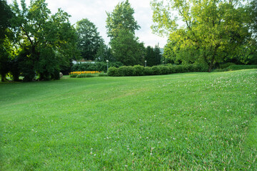 Beautiful park landscape with lawn and trees