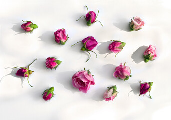 Flowers pink roses buds on a light background. Top view, flat lay