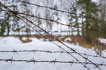 Close up of barbed wire in winter