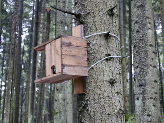 birdhouse on a tree