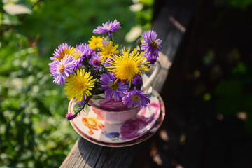 yellow and purple flowers (dandelions and asters) in a teacup are in the sun's rays