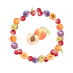 Wreath of the summer fruits and berries - juicy plums, apricots and cherries, with the peaches in the center of the composition. Watercolor illustration on white isolated background. For plates decor.